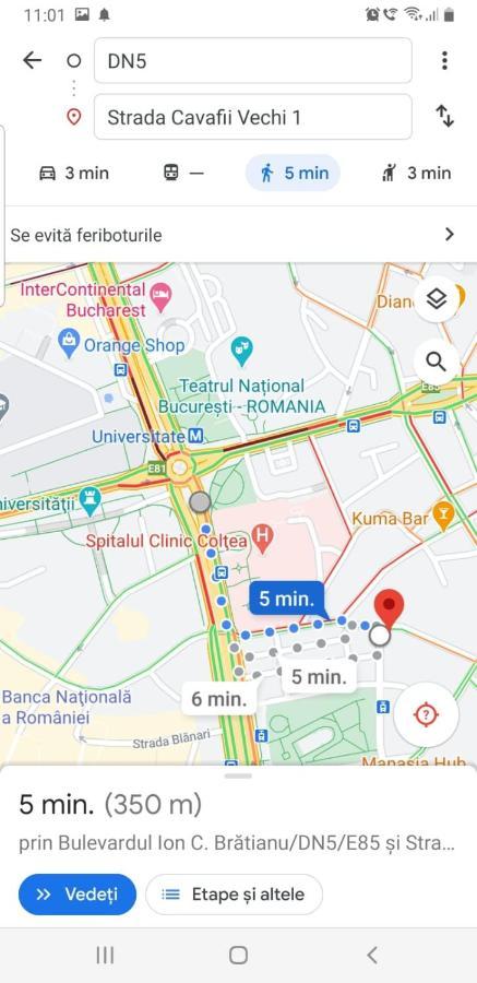 Central Old City Center Studio Universitate Coltea - Cav9 Apartment