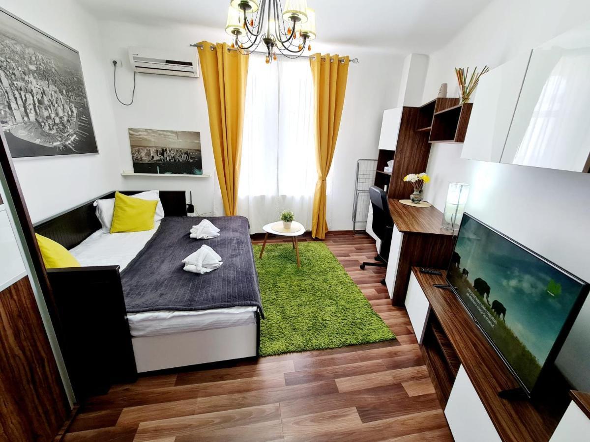 Central Old City Center Studio Universitate Coltea - Cav9 Apartment