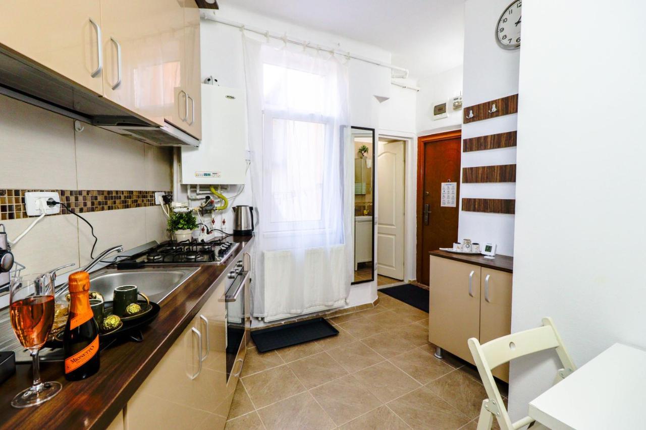 公寓 Central Old City Center Studio Universitate Coltea - Cav9
